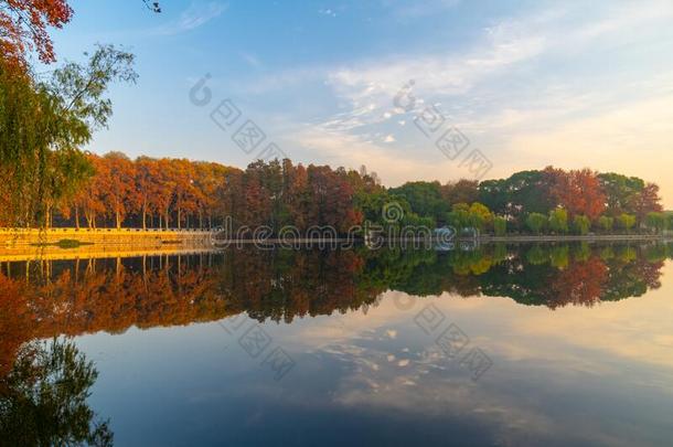 武汉东湖风景优美的地点风景采用秋