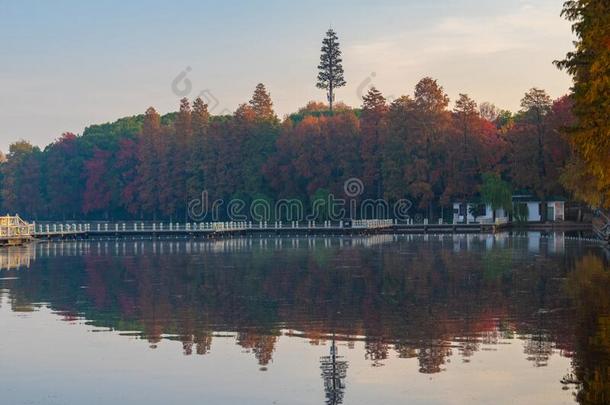 武汉东湖风景优美的地点风景采用秋