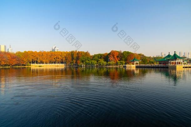 武汉东湖风景优美的地点风景采用秋