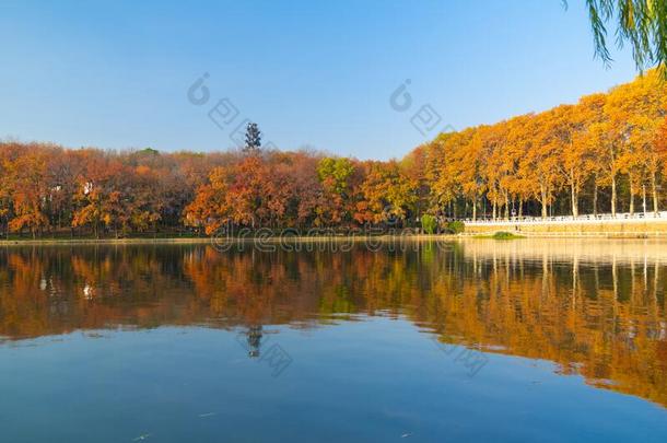 武汉东湖风景优美的地点风景采用秋