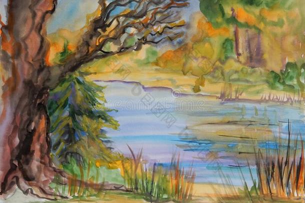 水彩绘画秋风景采用黄色的音一老的树