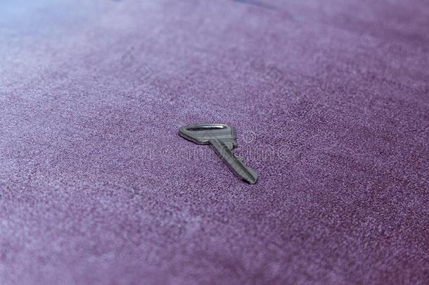 铁器钥匙从房间寓所放置向紫色的地毯透镜波黑