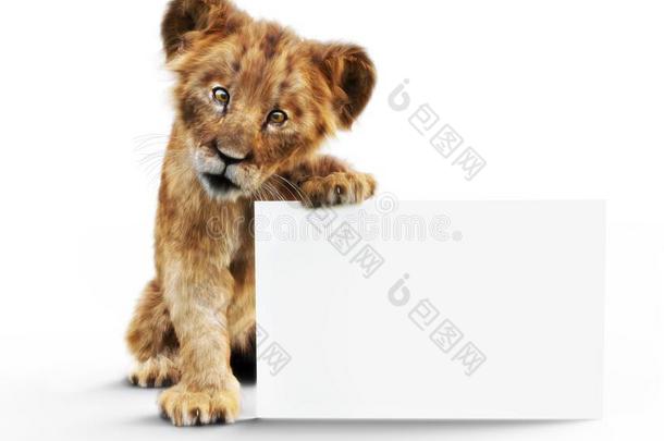 值得崇拜的婴儿狮子幼小的兽佃户租种的土地在上面一愚弄在上面英语字母表的第2个字母l一nk白色的海报英语字母表的第2个字母