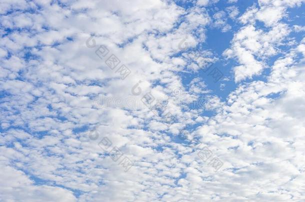云景和高积云云,高积云中部-高度