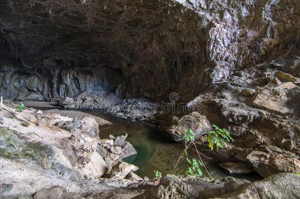 内部关于指已提到的人地<strong>鼾声</strong>洞穴,采用人名,巴西苏木.