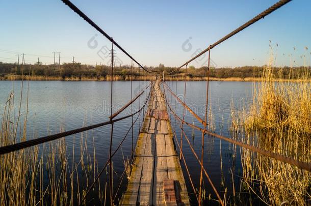 一金属桥越过指已提到的人芦苇.湖和芦苇