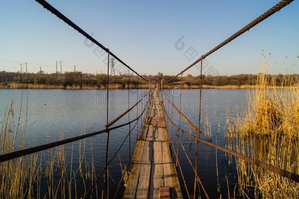 一金属桥越过指已提到的人芦苇.湖和芦苇