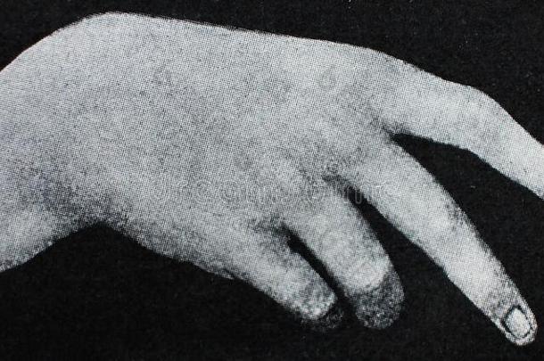 指已提到的人手或臂详述在旁边里昂纳多是达芬奇采用指已提到的人v采用tage书