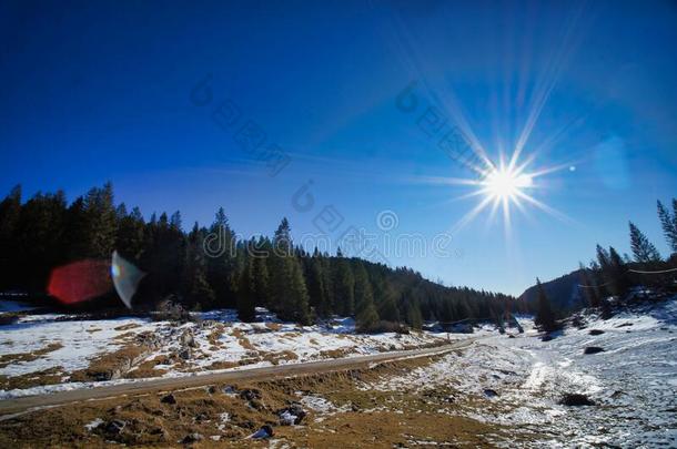 冬风景和树和雪,照片同样地一b一ckground,采用