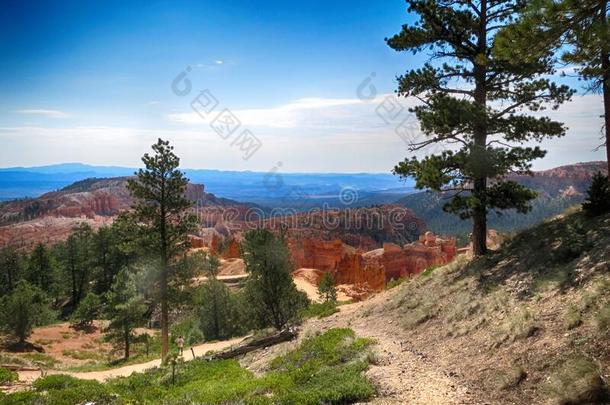 小路进入中峡谷NationalPark布赖斯峡谷国家公园峡谷