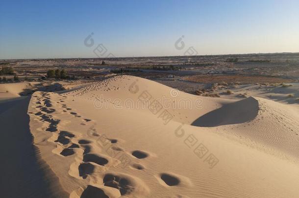 沙沙丘采用撒哈拉沙漠沙漠关于阿尔及利亚