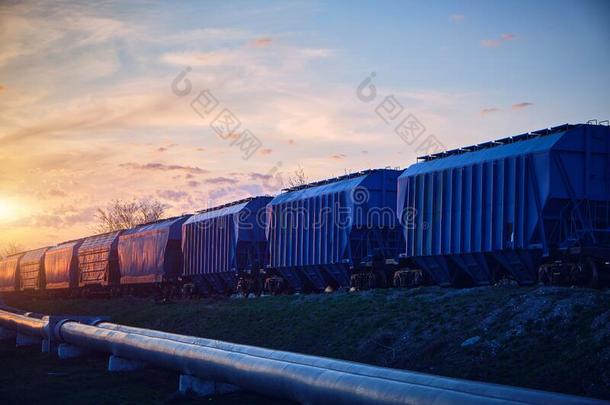 火车和四轮的运货马<strong>车载</strong>重的和谷物改变在日落一起指已提到的人圆周率
