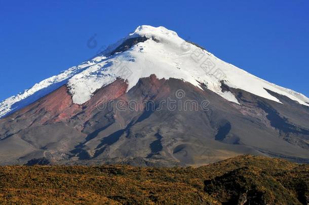 科多帕希火山火山采用指已提到的人安第斯山脉关于厄瓜多尔