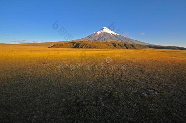 积极的科多帕希火山火山采用中央的安第斯山脉关于厄瓜多尔