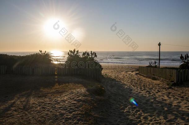步行者恩特雷斯向海滩通过沙丘在日出