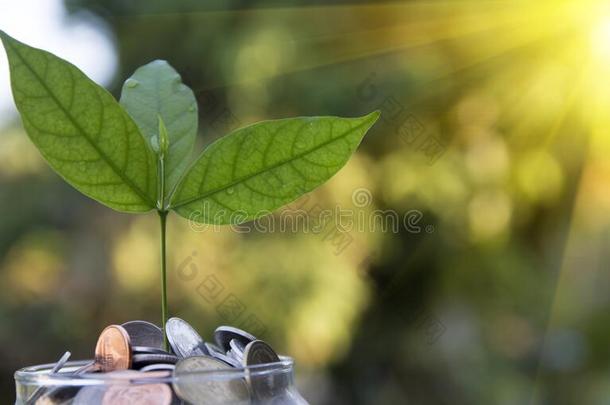 <strong>救助</strong>钱,<strong>救助</strong>钱观念钱coinsurance联合保险和家,节约为