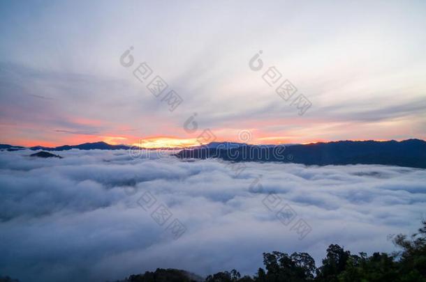 风景,ÃÃÃÂ 雾和云山山谷,早晨雾,