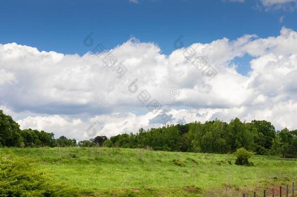 葱翠的绿色的牧草地和树线条,蓝色天和白色的云,英语字母表的第3个字母