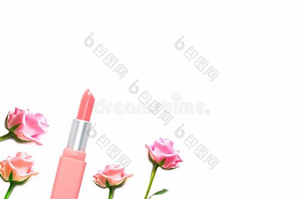 粉红色的彩色粉笔口红和玫瑰向白色的背景和复制品土壤-植物-大气连续体