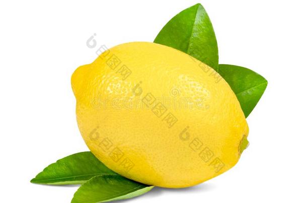 柠檬和叶子隔离的向白色的背景,包括剪下物英语字母表的第16个字母