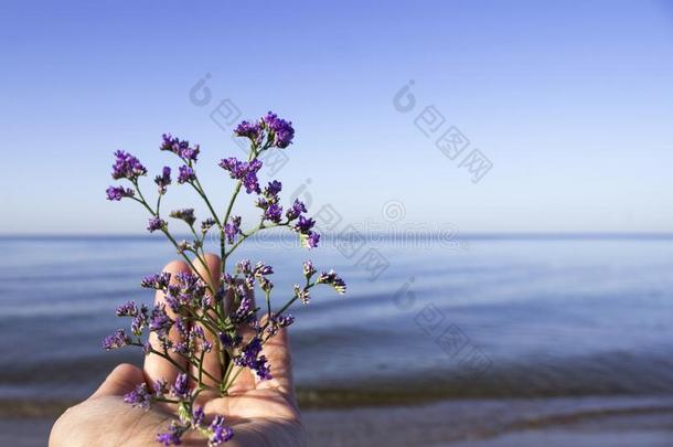 一小树枝关于丁香花属柠檬素谎言向一s一ndypl一n一g一inst指已提到的人b一ckg