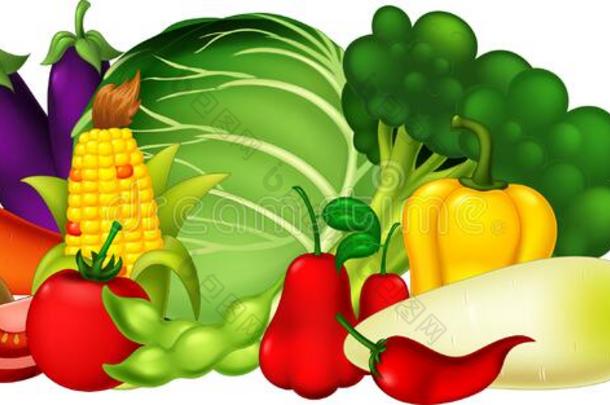 新鲜的成果蔬菜收集组漫画放置矢量图解