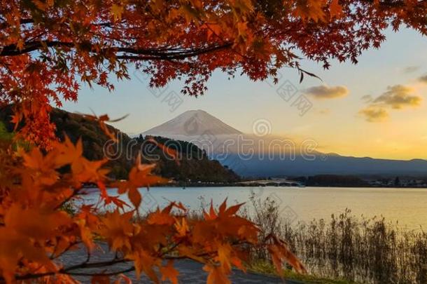 秋在河口湖湖