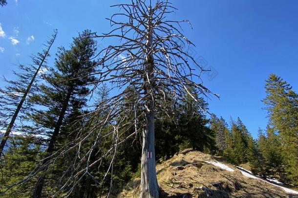 登山<strong>指示牌</strong>和成交量和价格记录向指已提到的人小山越过指已提到的人快点