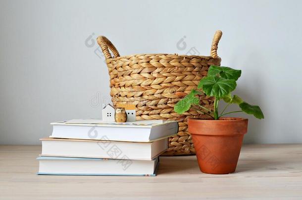 柳条篮,室内植物天竺葵属的植物采用无釉赤陶罐,书,