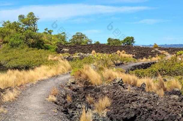 风景和粗糙的熔岩岩石,兰吉托岛,新的西兰岛
