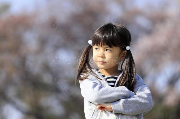 日本人女孩和樱桃花