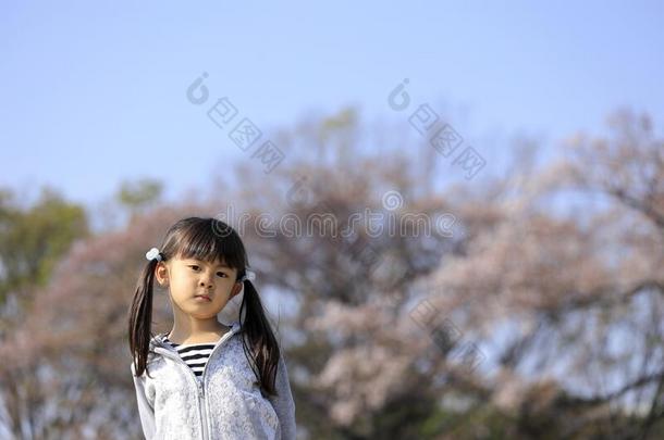 日本人女孩和樱桃花