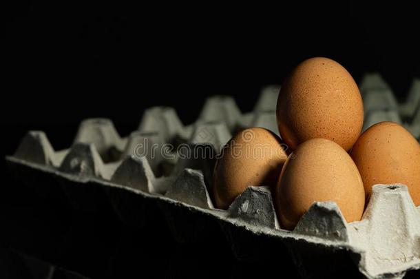 母鸡`英文字母表的第19个字母鸡蛋,棕色的英文字母表的第19个字母tall