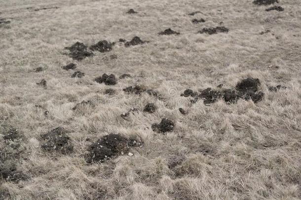 田-地面和泥土和干的干燥的草和名词关于黏土和standingorder经常订单
