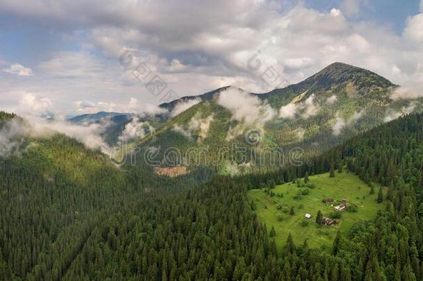 空气的看法关于绿色的喀尔巴阡山脉的山大量的和ever绿色的