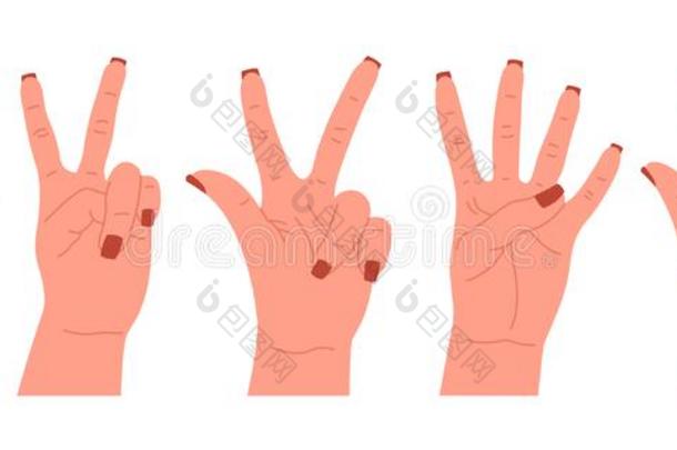 放置关于手手势字符.各种各样的手偶像和手指