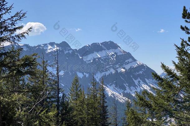 看法关于指已提到的人阿尔卑斯山的山峰恒斯特英语字母表的第8个字母Ã¤NGST-英语字母表的第8个字母aeNGST奥得河英语字母表