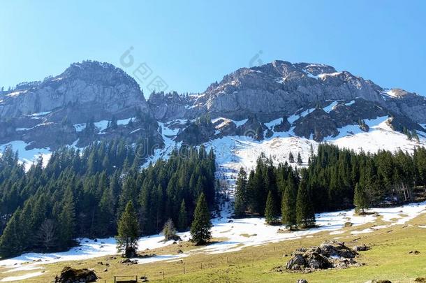 看法关于指已提到的人阿尔卑斯山的山峰格涅普斯泰因午餐Ã¼pfi公司午餐uepfi公司颂诗