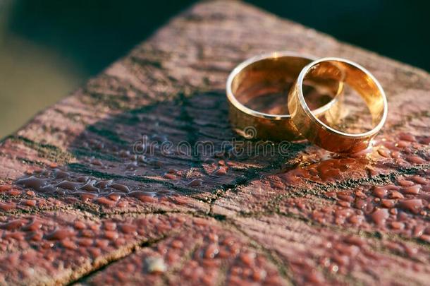 婚礼戒指向织地粗糙的木材.准备的为指已提到的人婚礼