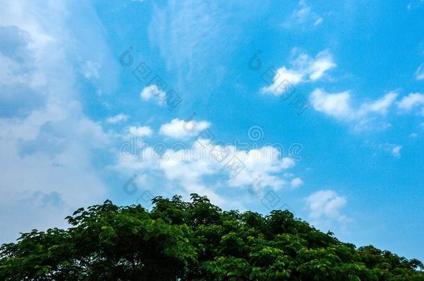 抽象的组关于层<strong>云云</strong>高度采用指已提到的人天和树,英文字母表的第19个字母