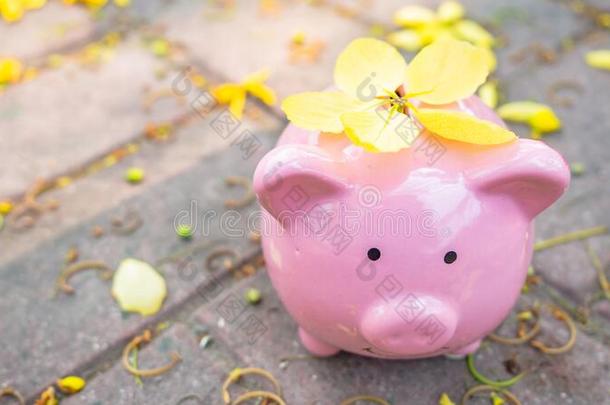 小猪银<strong>行使</strong>隔离采用美丽的黄色的花背景.小猪