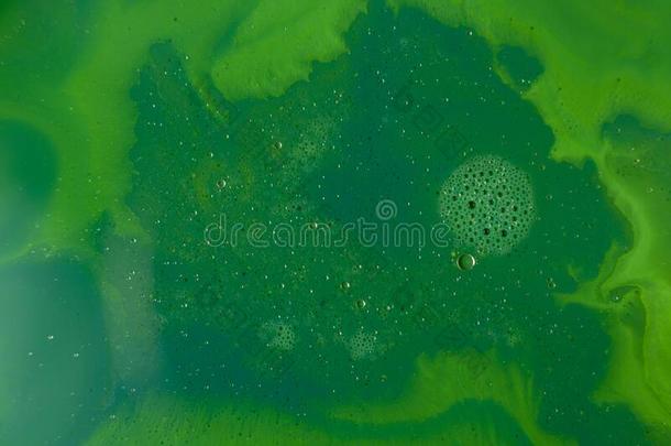 液体绿色的背景和泡