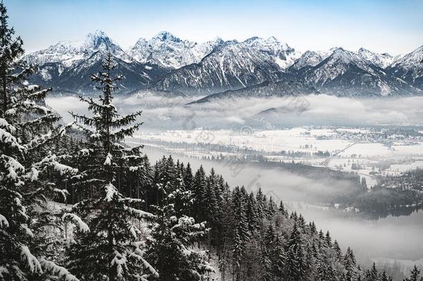 雪-大量的阿尔加斯特山