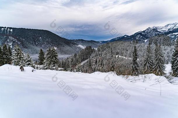 雪-大量的阿尔加斯特山