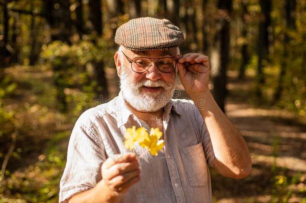 勘查世界大约.领取退休、养老金或抚恤金的人徒步旅行采用森林向和煦的：照到阳光的秋