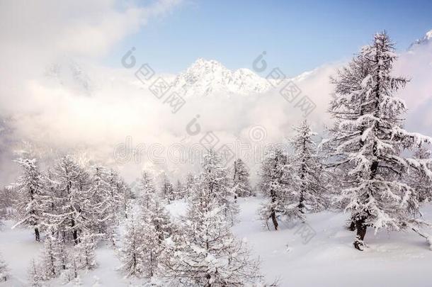 瓦尔马伦科它-下雪的风景和原色丝花边比例尺