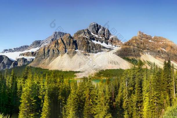 风景优美的山风景加拿大全景画