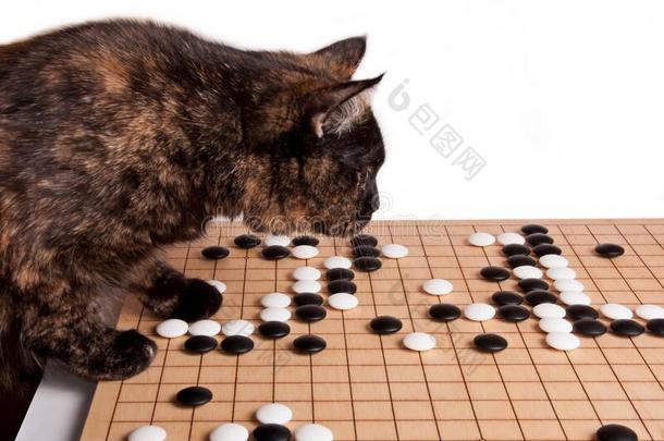 猫演奏板游戏走<strong>围棋</strong>,世界环境学会-希腊字母的第22字