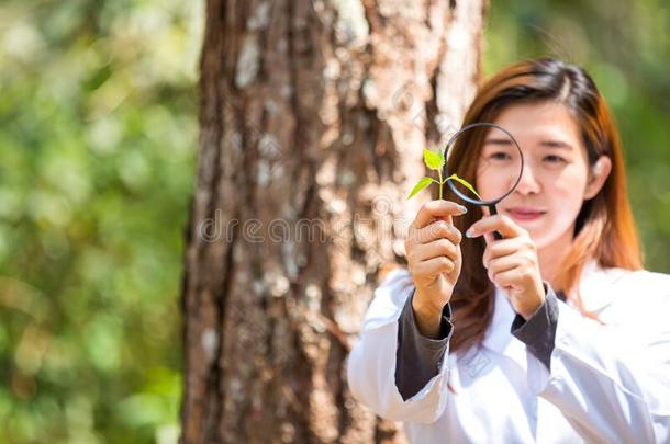 植物学的科学家.测量关于植物学家.女人<strong>学习计划</strong>