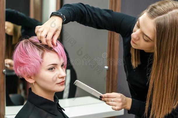 理发师校核短的粉红色的发型